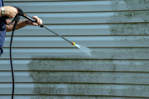 Best Oil Spill Cleanup  in Wesley Chapel, FL
