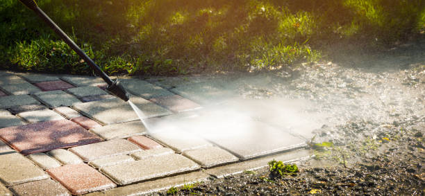 Best Driveway Pressure Washing  in Wesley Chapel, FL